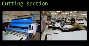 Cutting-Section